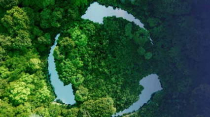 We are sustainable